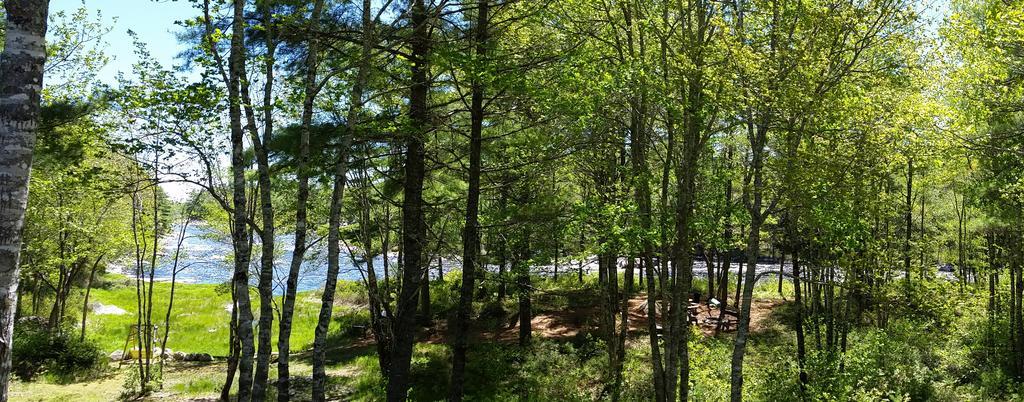 Roseway River Cottages Shelburne Εξωτερικό φωτογραφία