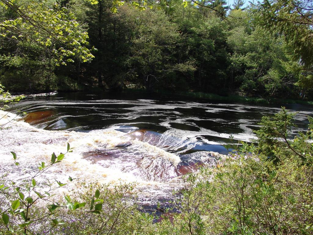 Roseway River Cottages Shelburne Εξωτερικό φωτογραφία
