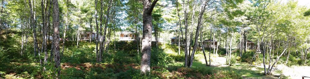 Roseway River Cottages Shelburne Εξωτερικό φωτογραφία