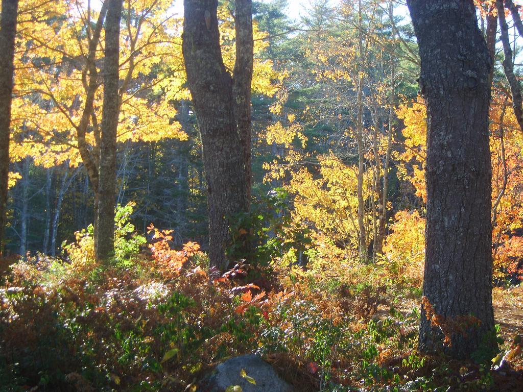 Roseway River Cottages Shelburne Εξωτερικό φωτογραφία