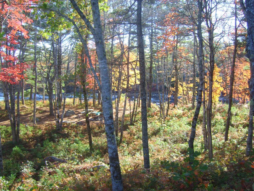 Roseway River Cottages Shelburne Εξωτερικό φωτογραφία