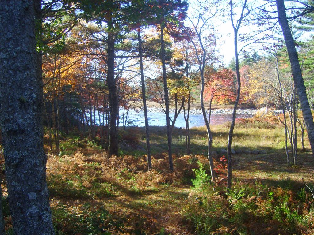 Roseway River Cottages Shelburne Εξωτερικό φωτογραφία