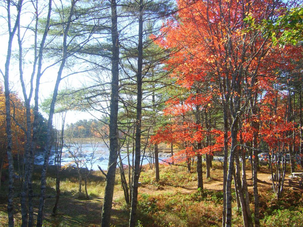 Roseway River Cottages Shelburne Εξωτερικό φωτογραφία