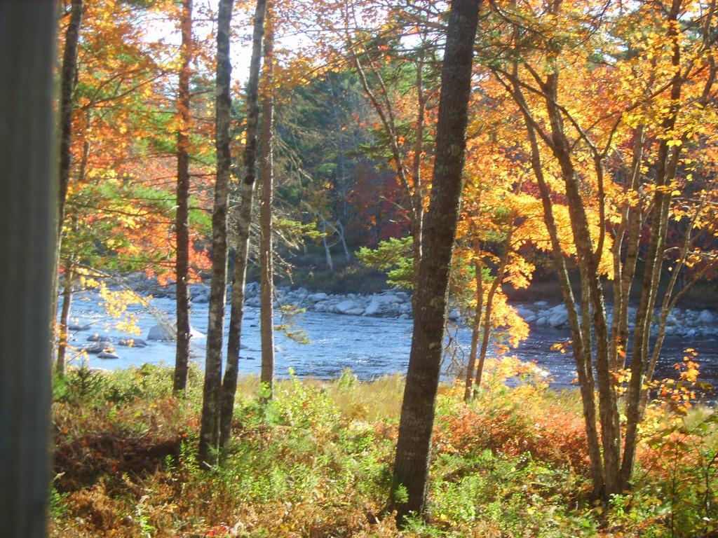 Roseway River Cottages Shelburne Εξωτερικό φωτογραφία