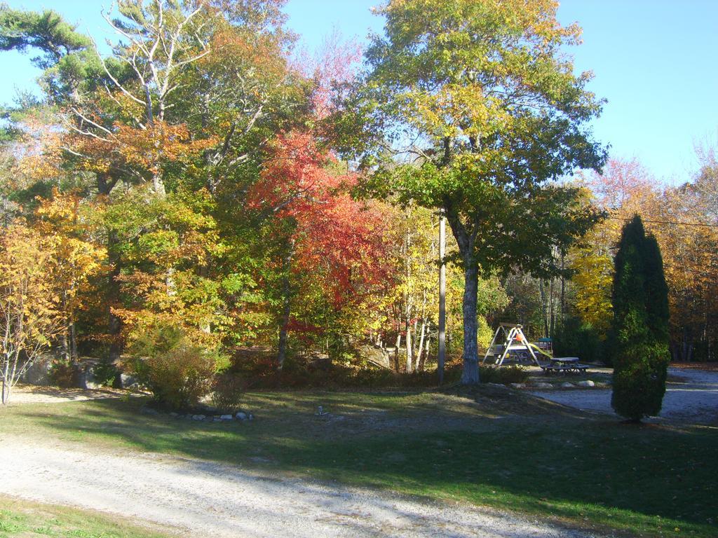 Roseway River Cottages Shelburne Εξωτερικό φωτογραφία