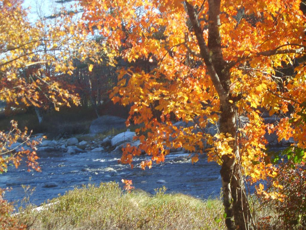 Roseway River Cottages Shelburne Εξωτερικό φωτογραφία