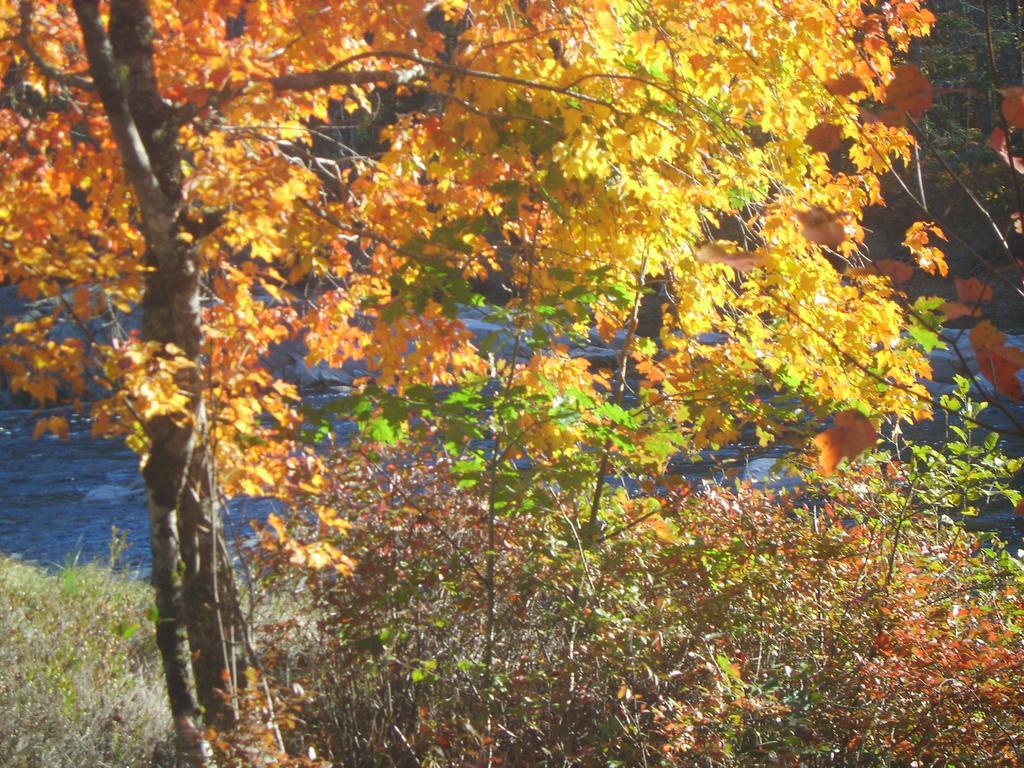 Roseway River Cottages Shelburne Εξωτερικό φωτογραφία