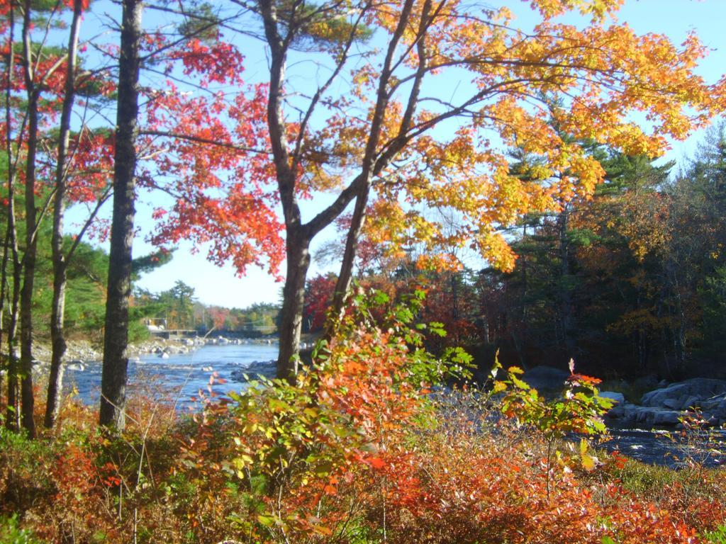 Roseway River Cottages Shelburne Εξωτερικό φωτογραφία