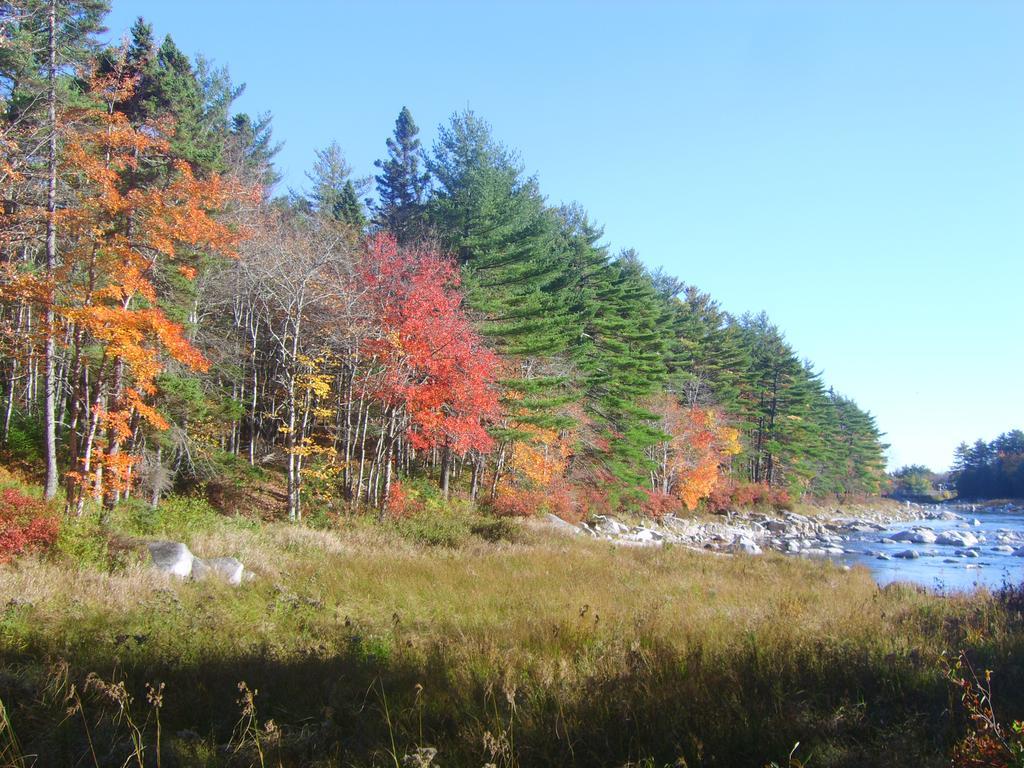 Roseway River Cottages Shelburne Εξωτερικό φωτογραφία