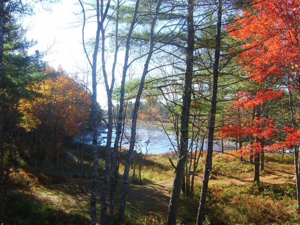 Roseway River Cottages Shelburne Εξωτερικό φωτογραφία