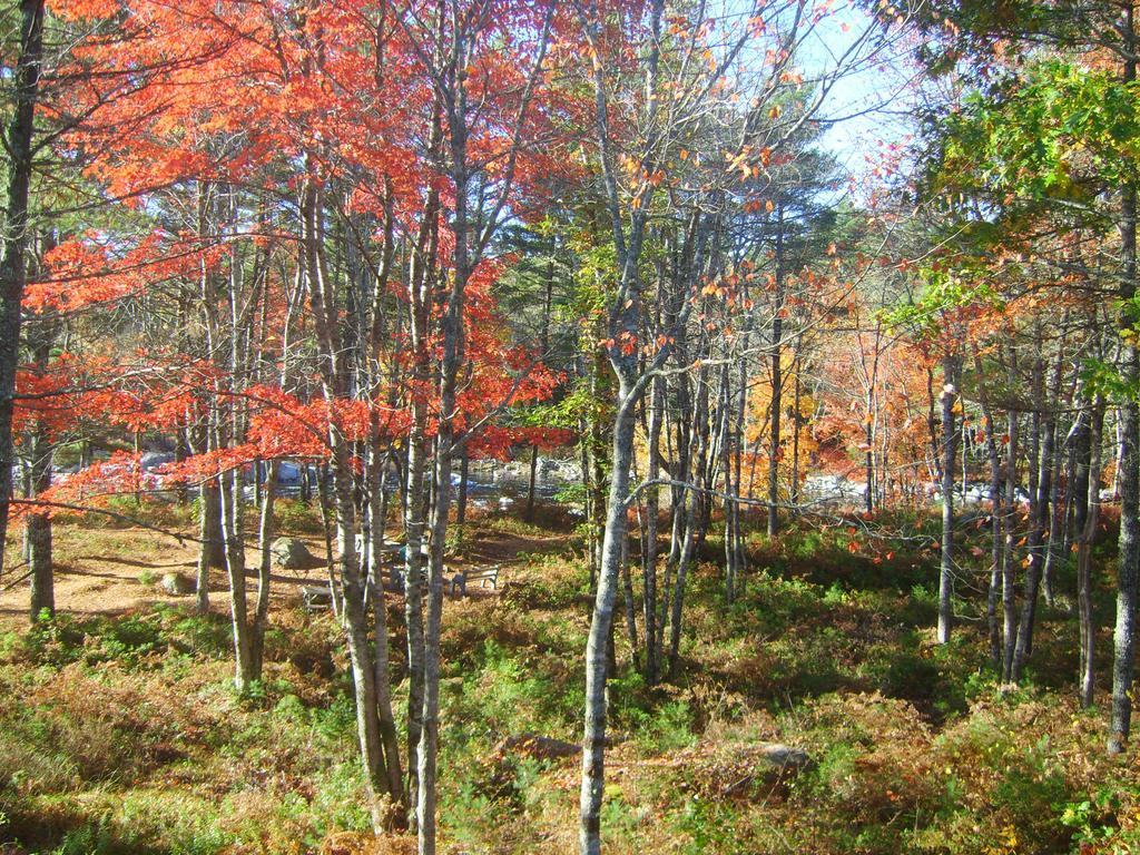 Roseway River Cottages Shelburne Εξωτερικό φωτογραφία