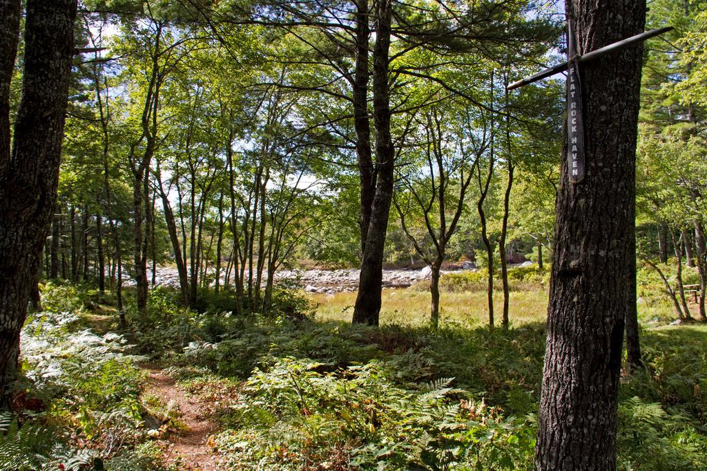 Roseway River Cottages Shelburne Εξωτερικό φωτογραφία